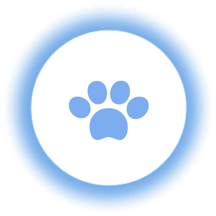 Pets